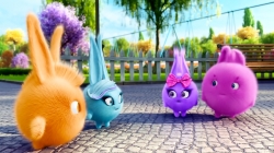 انیمیشن سانی بانیز قسمت 201 - sunny bunnies